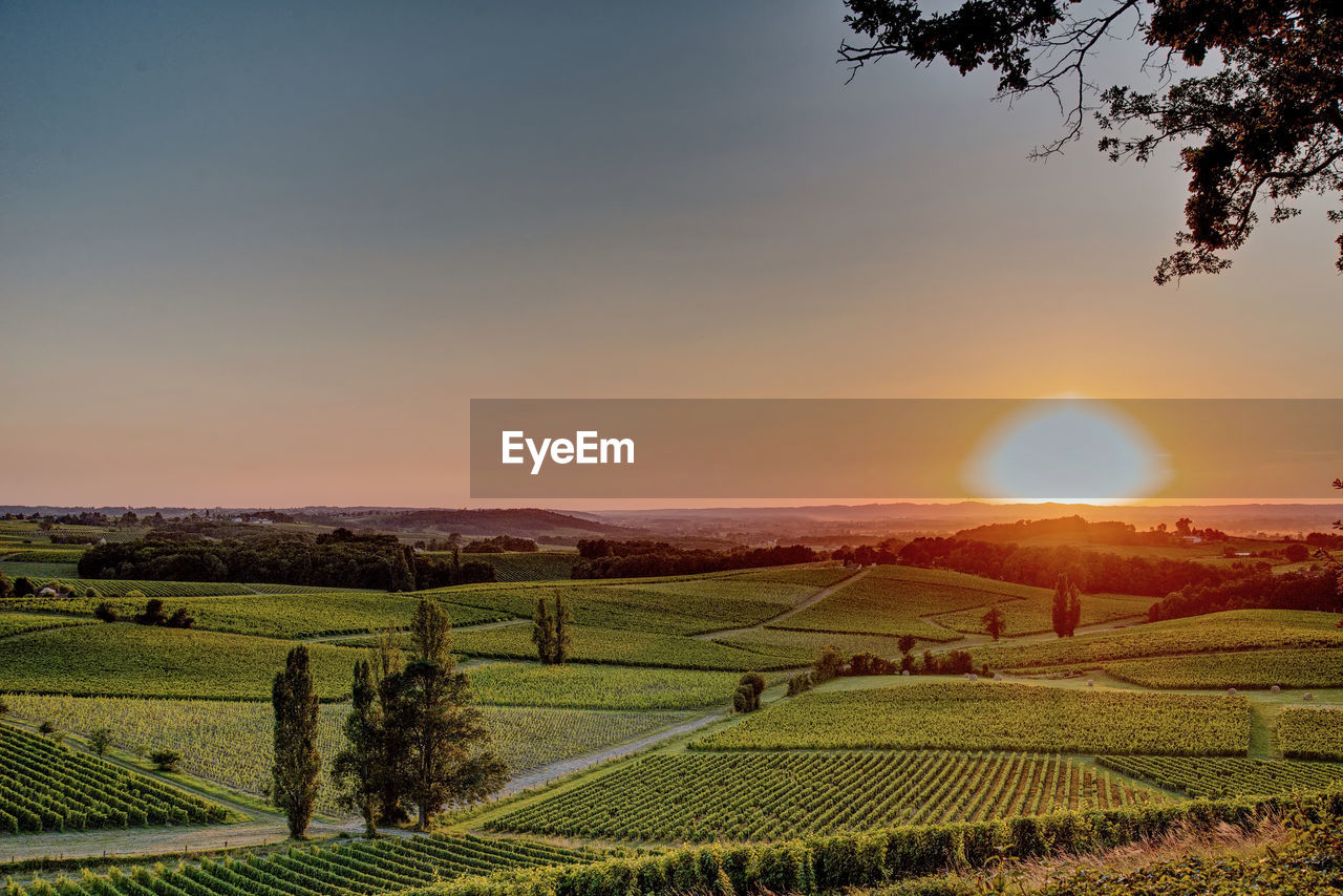 SCENIC VIEW OF FIELD AGAINST SKY DURING SUNSET