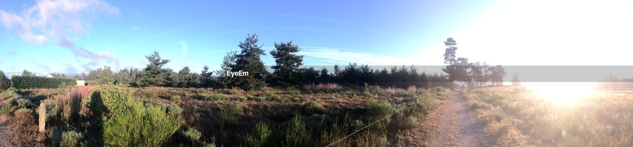 PANORAMIC VIEW OF LAND AGAINST SKY