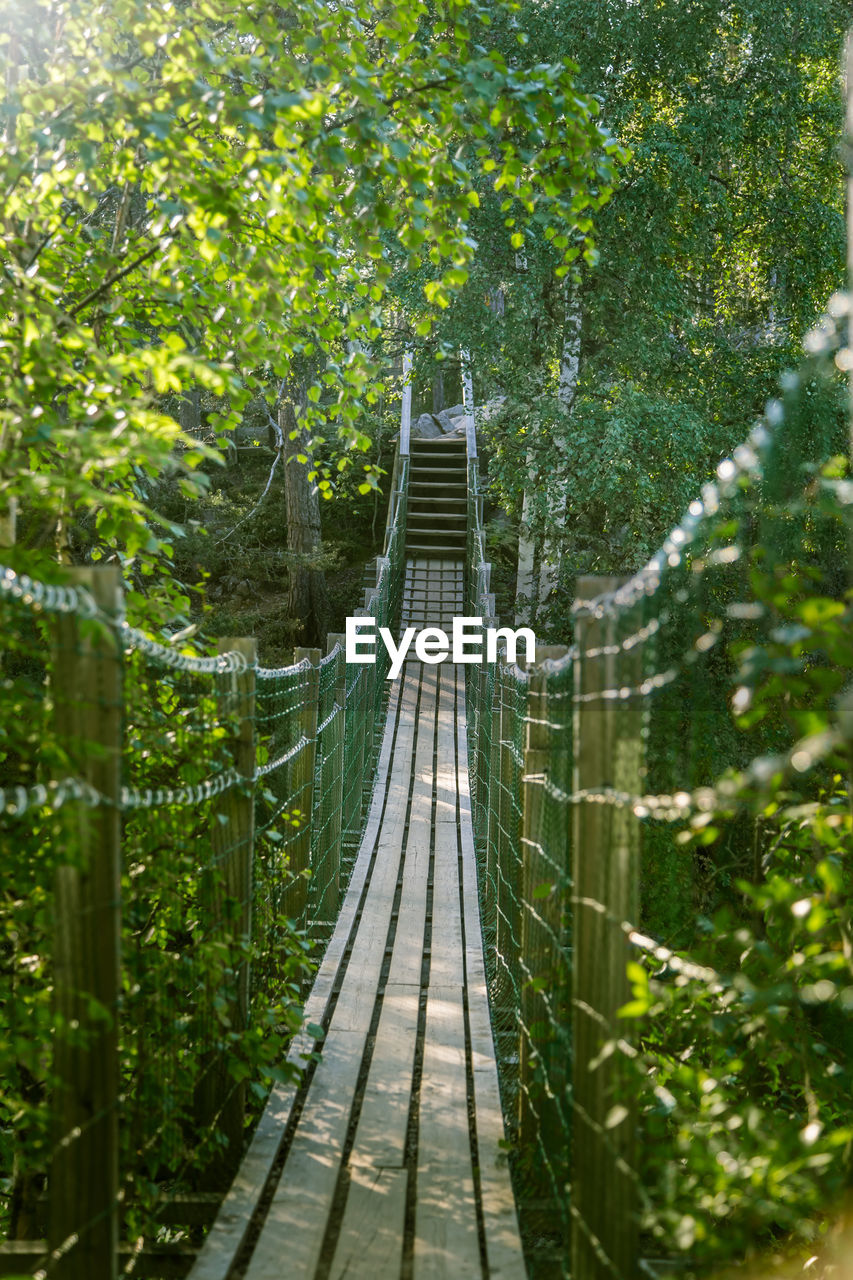 FOOTBRIDGE AMIDST TREES AND PLANTS IN FOREST