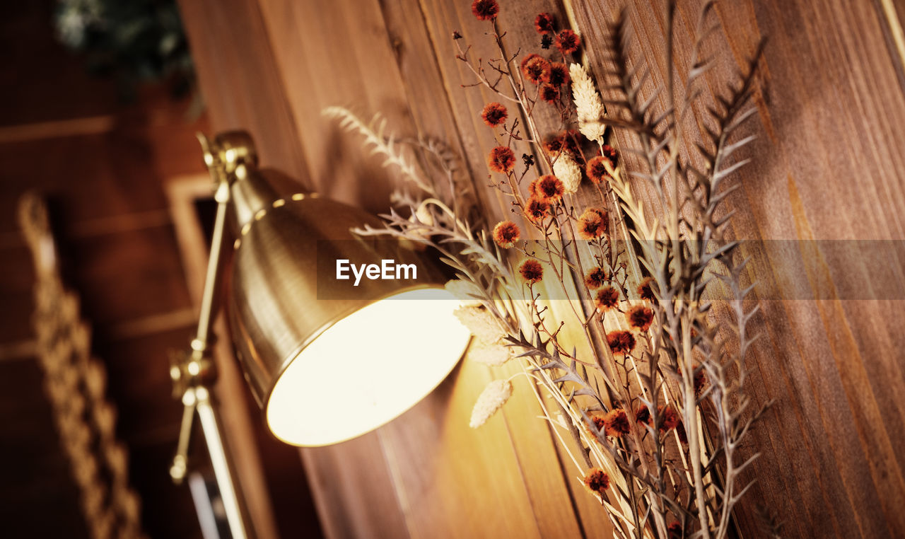 light, lighting equipment, no people, lighting, indoors, illuminated, wood, close-up, low angle view, focus on foreground, hanging, plant, decoration, nature