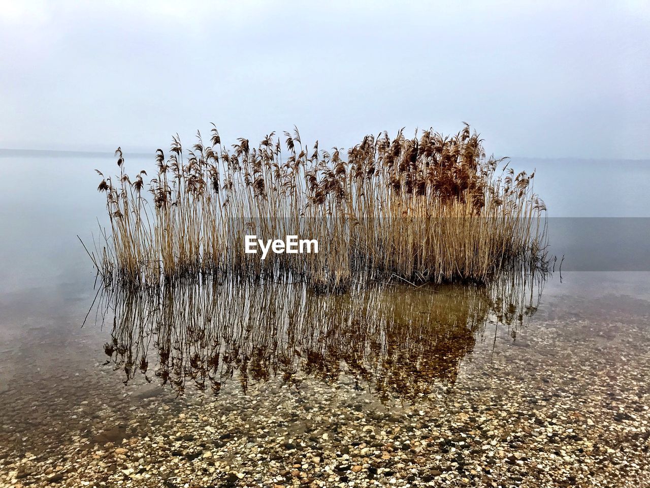 Scenic view of lake against sky during winter