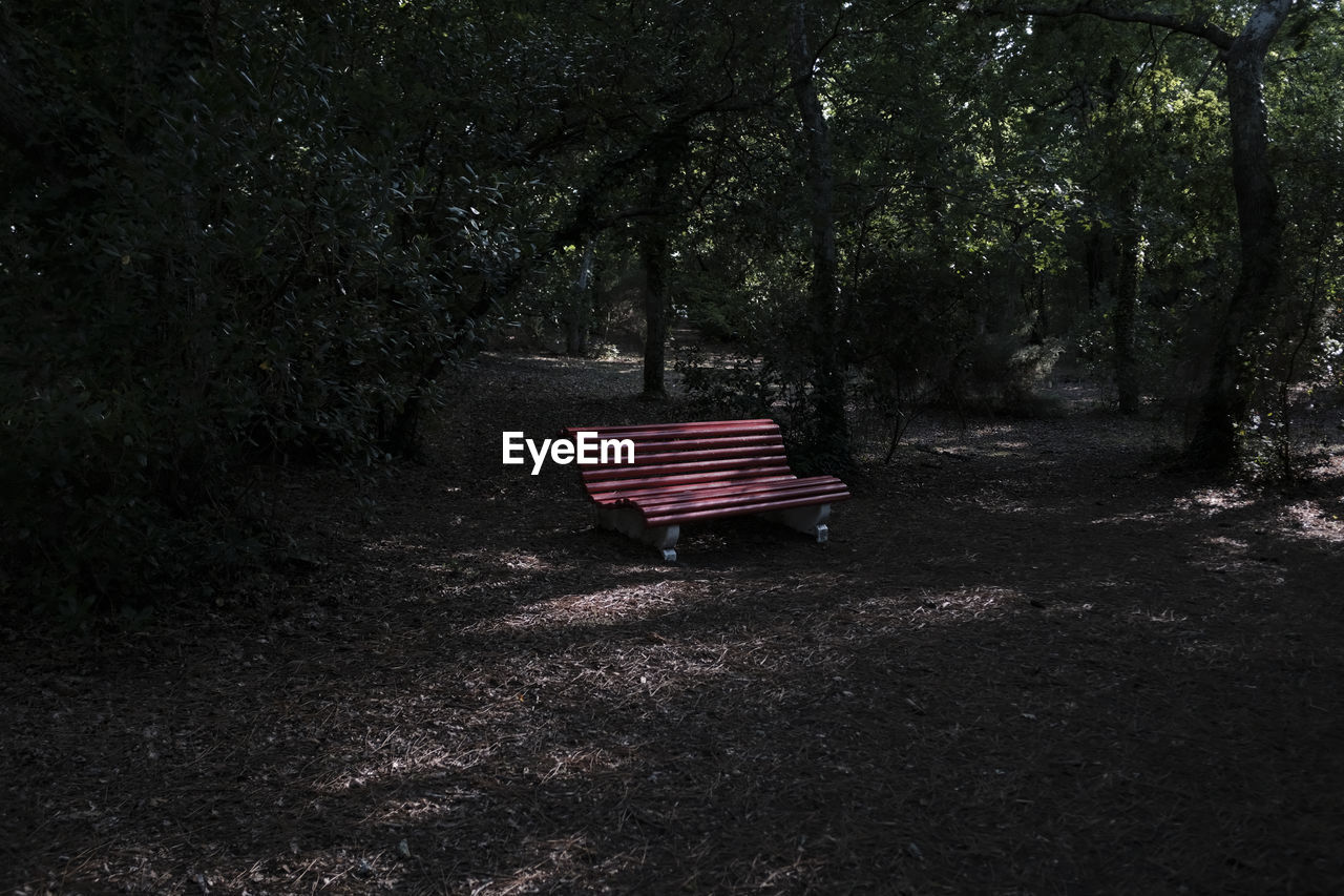 Empty bench in park