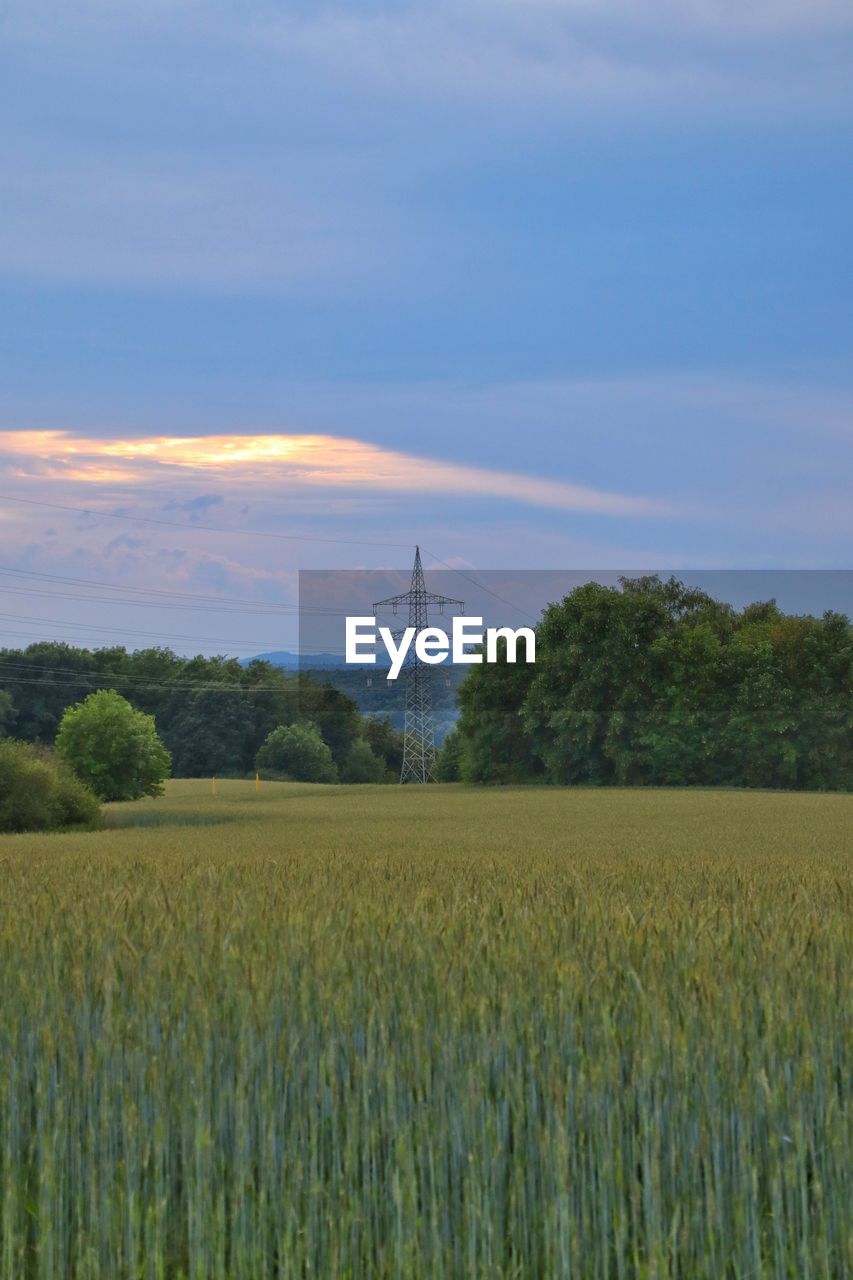 SCENIC VIEW OF FARM FIELD AGAINST SKY