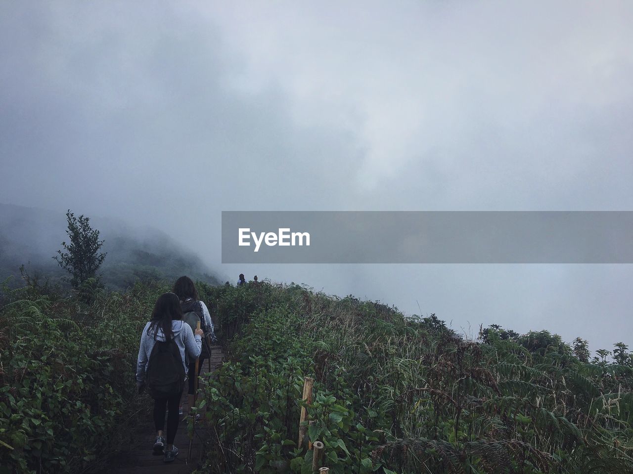 Rear view of people walking on mountain during foggy weather