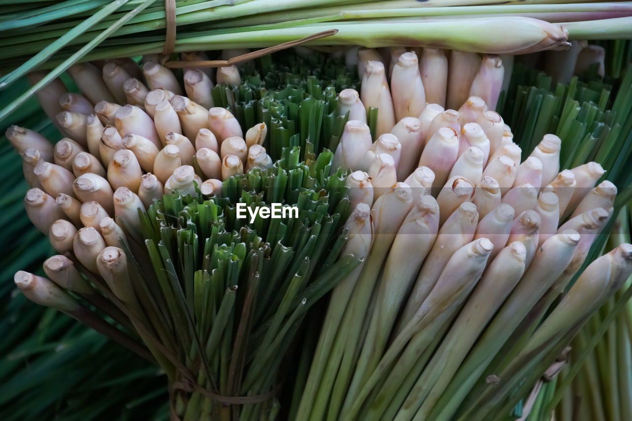 Close-up of spring onions at market for sale