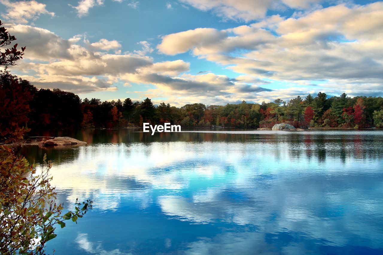 REFLECTION OF TREES IN LAKE AGAINST SKY