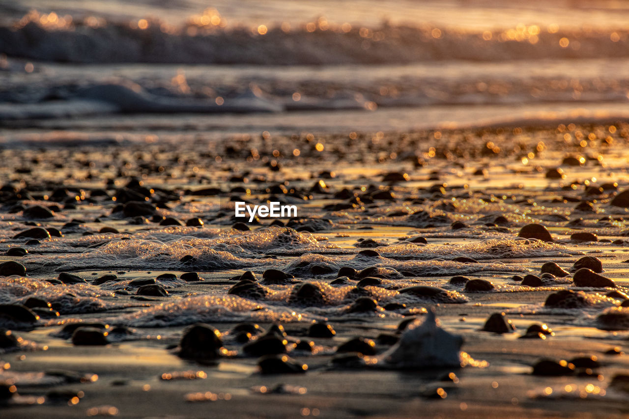 Surface level of pebble beach