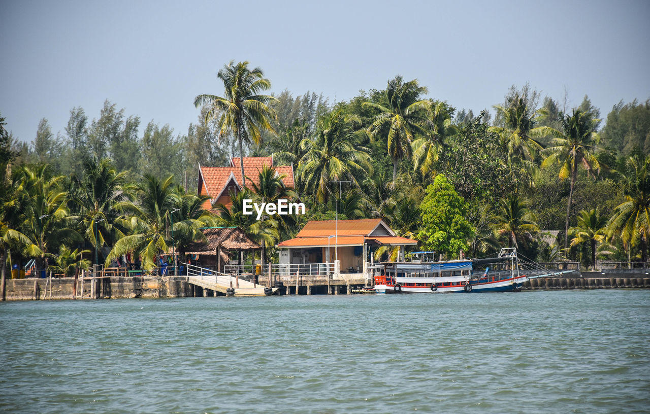 SCENIC VIEW OF PALM TREES BY RIVER AGAINST SKY
