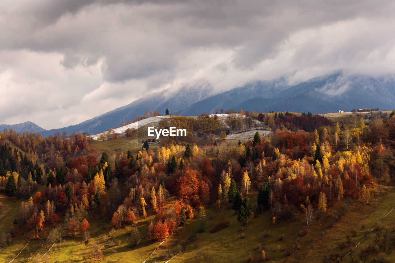 PANORAMIC VIEW OF TREES AND MOUNTAINS AGAINST SKY