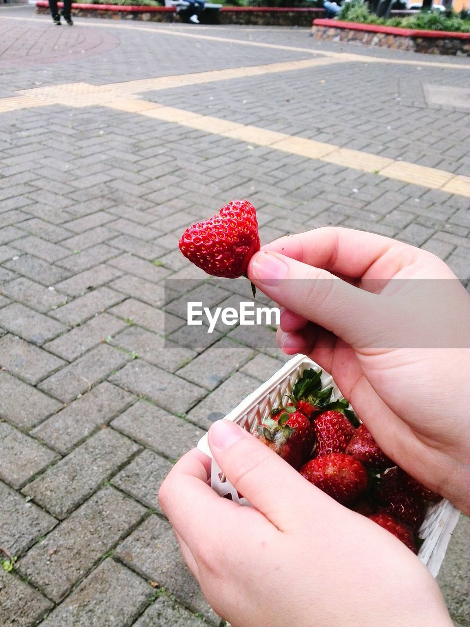 Cropped image of woman holding strawberry