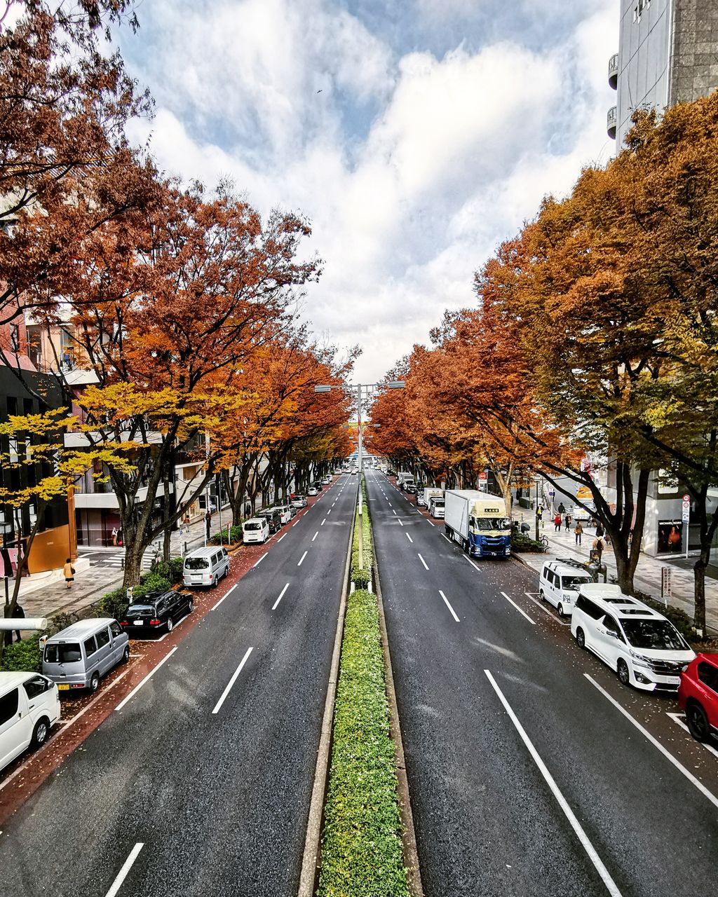 ROAD AMIDST TREES AGAINST SKY