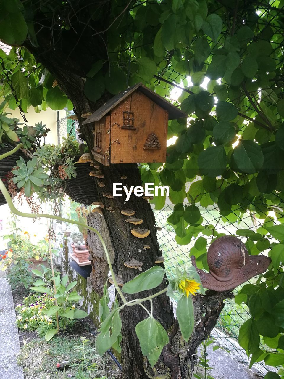 CLOSE-UP OF SNAKE ON TREE