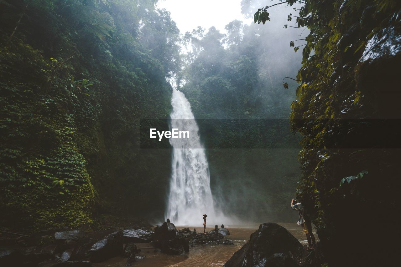 Scenic view of waterfall in forest