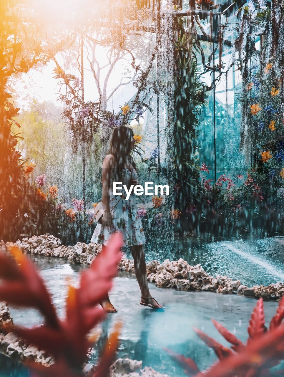 Woman standing by river in rain forest