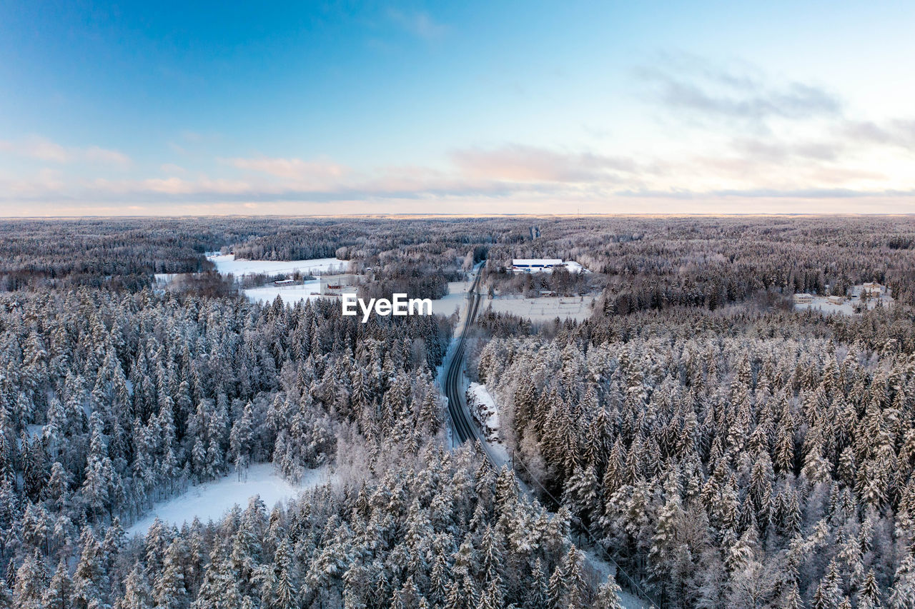 Frozen forest, fields and road during winter from drone perspective, luukki espoo, vihti, finland