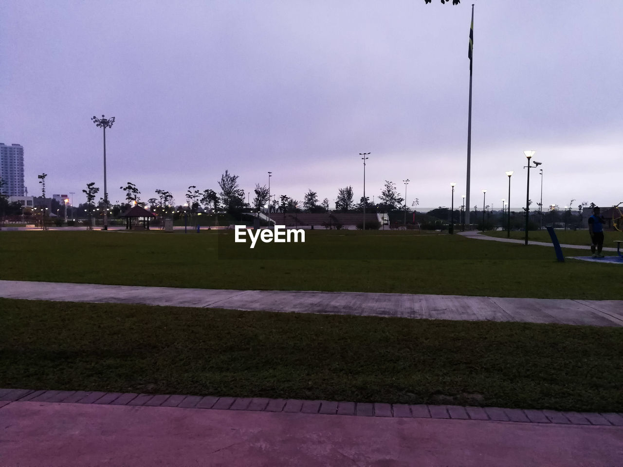 STREET LIGHTS ON FIELD IN CITY