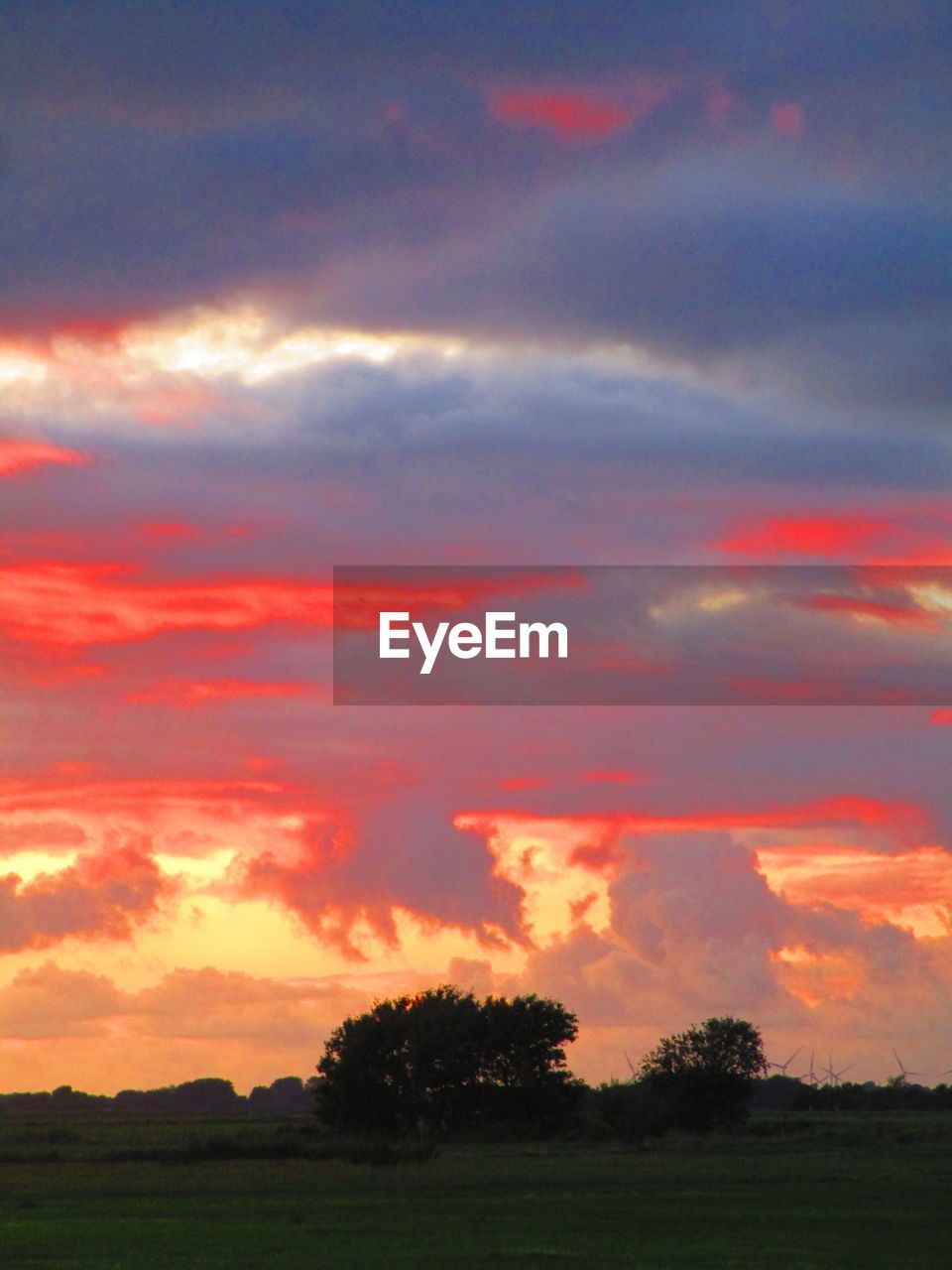 SCENIC VIEW OF DRAMATIC SKY OVER SILHOUETTE TREES