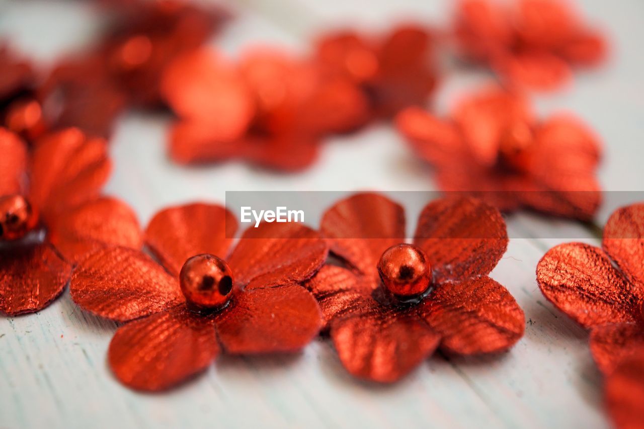 Close-up of red flowers on table