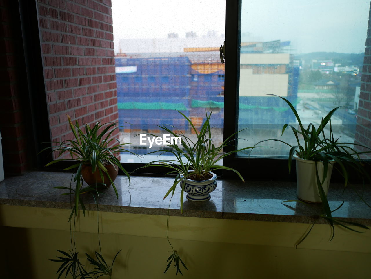CLOSE-UP OF POTTED PLANTS ON TABLE