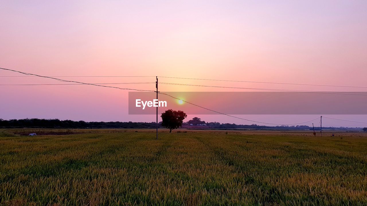 SCENIC VIEW OF FIELD AGAINST SKY AT SUNSET