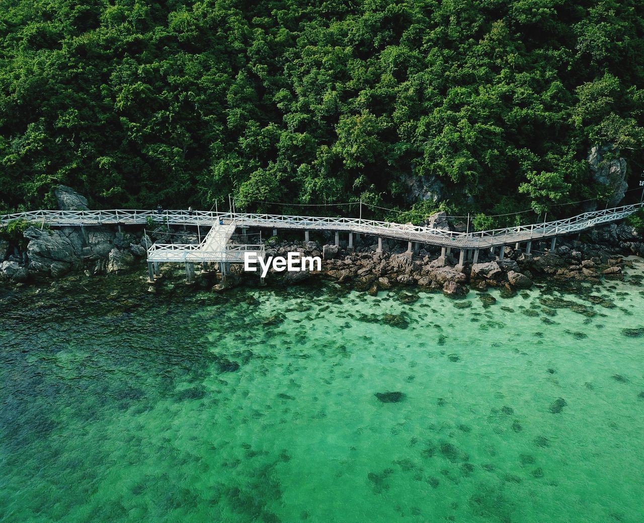 BRIDGE OVER WATER IN FOREST