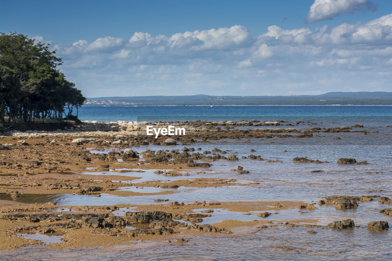 SCENIC VIEW OF BEACH