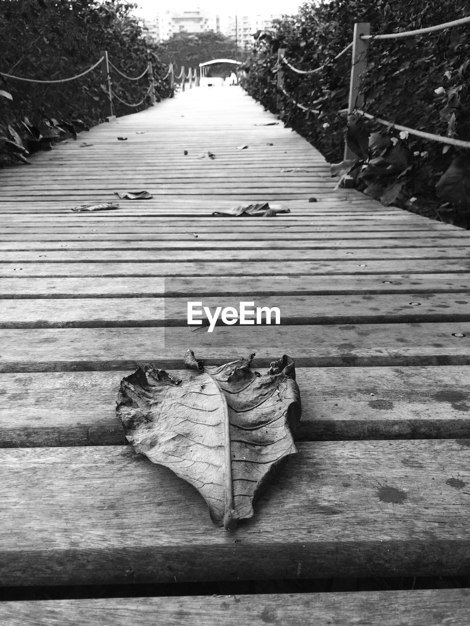 CLOSE-UP OF WOODEN PLANKS ON WOODEN PLANK