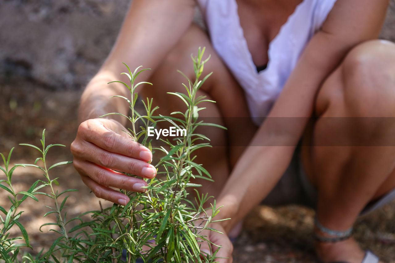 CLOSE-UP OF WOMAN HOLDING PLANT