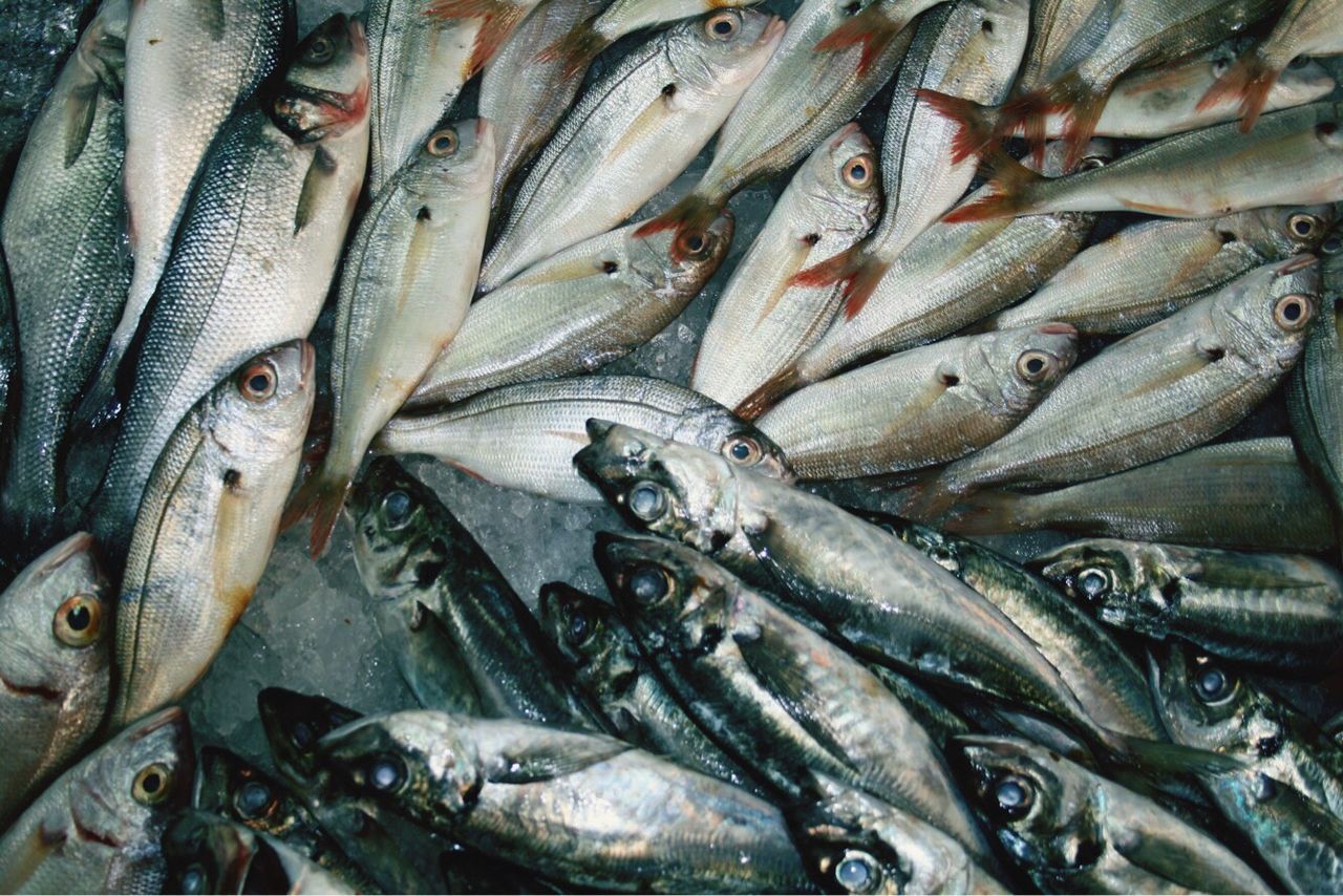 Full frame shot of dead fish at market for sale