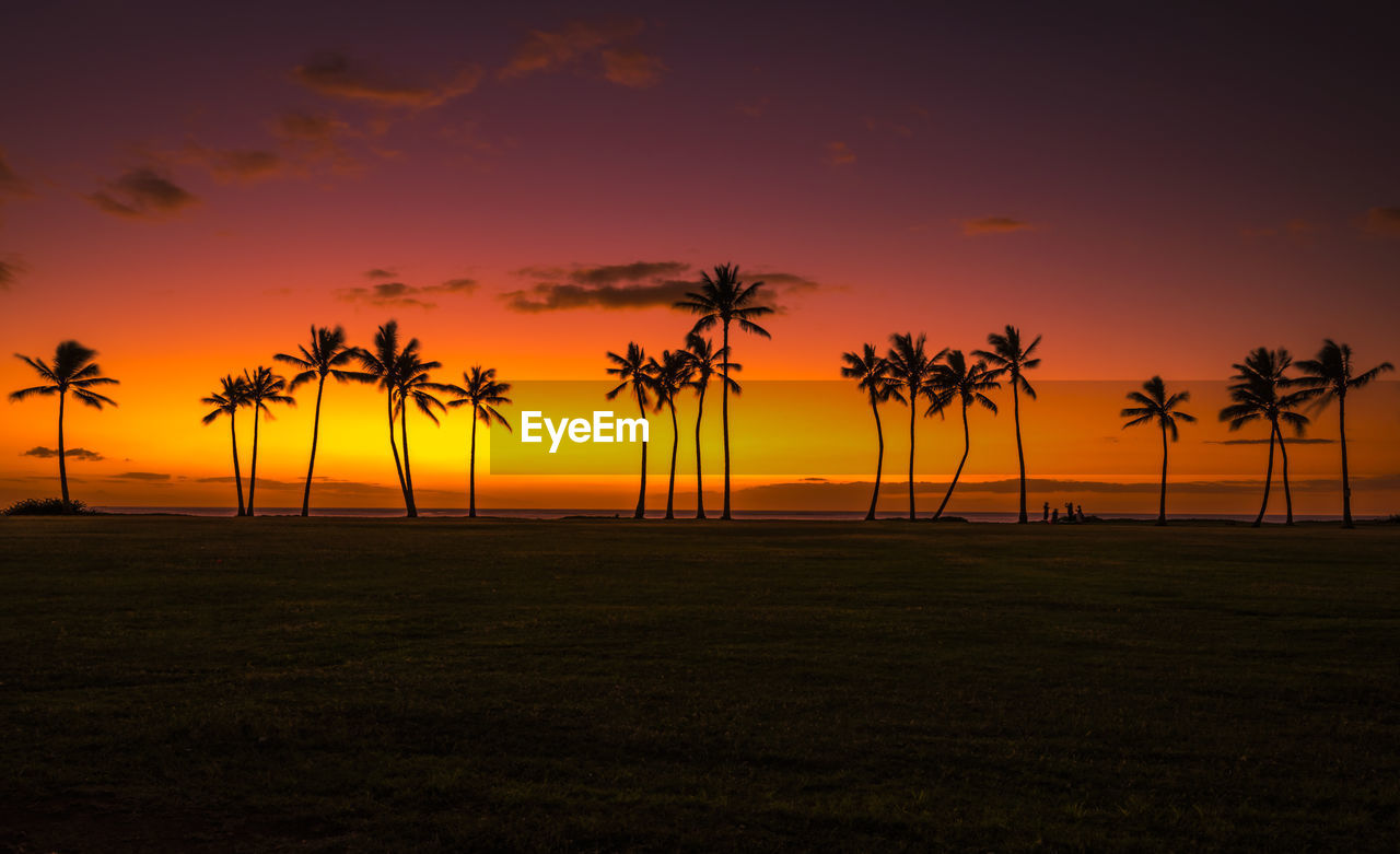 Silhouette palm trees against sky during sunset