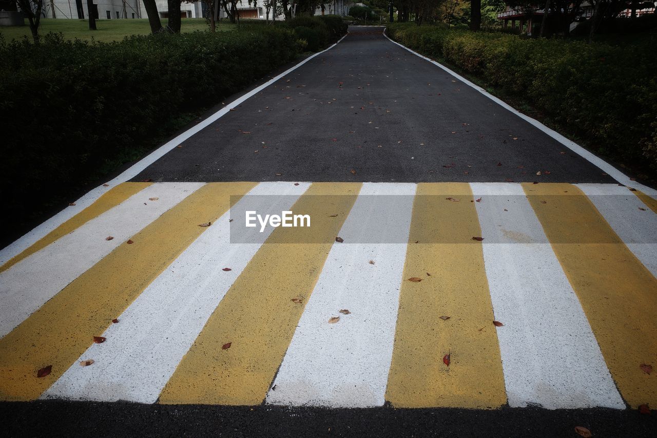 HIGH ANGLE VIEW OF ZEBRA CROSSING IN CITY