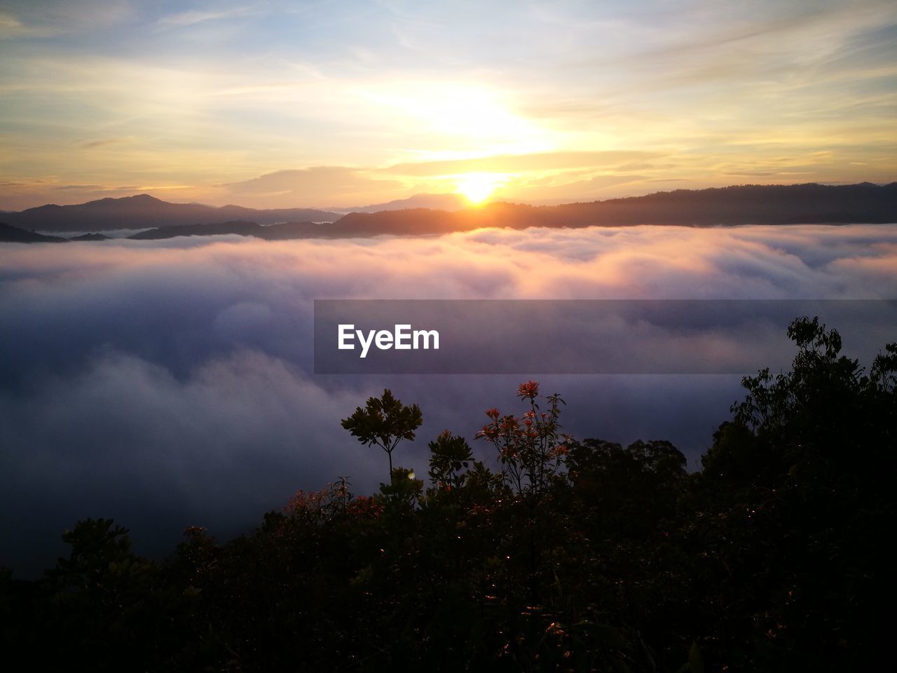 SCENIC VIEW OF DRAMATIC SKY OVER SILHOUETTE TREES DURING SUNSET