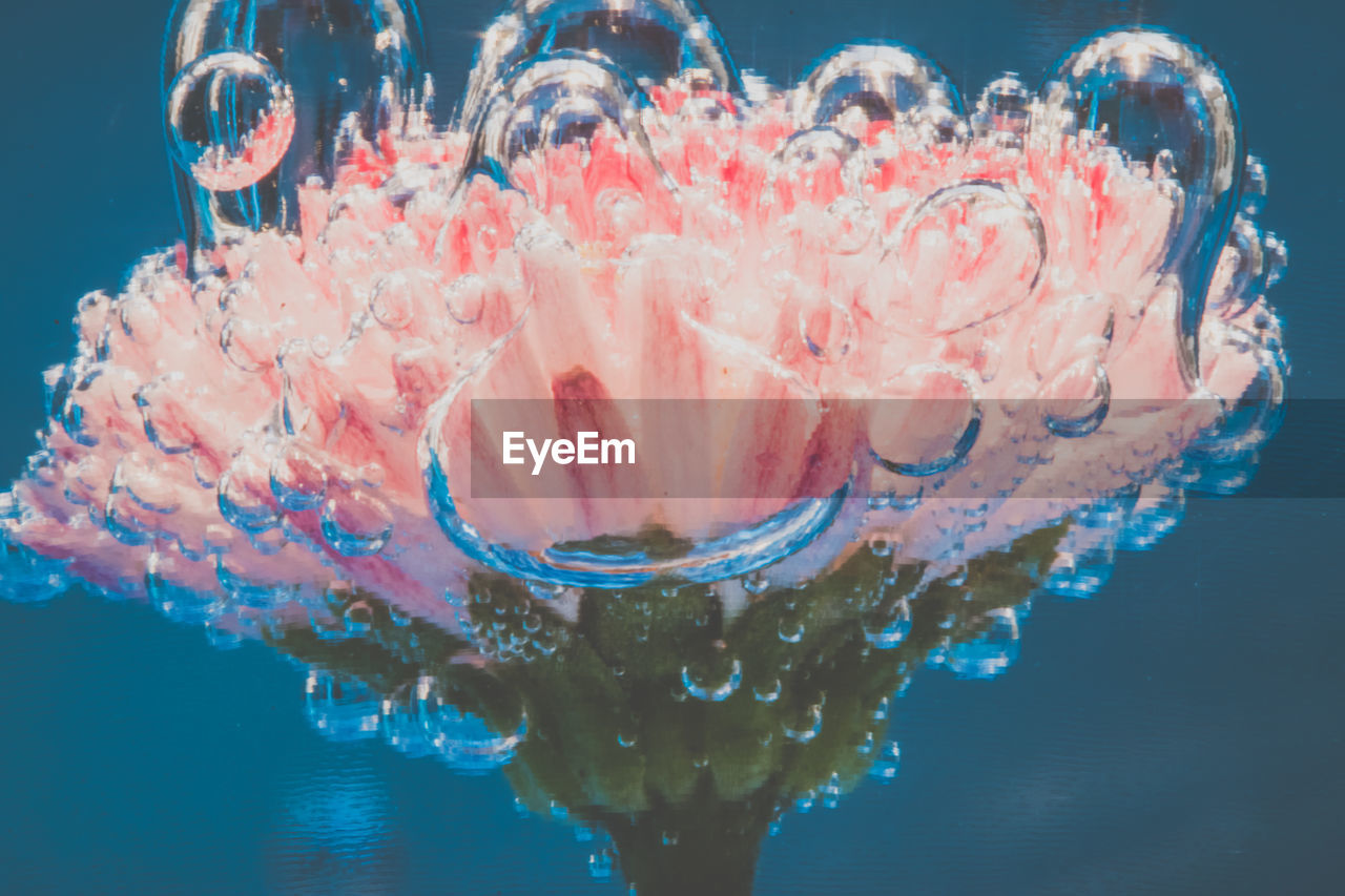 CLOSE-UP OF WATER