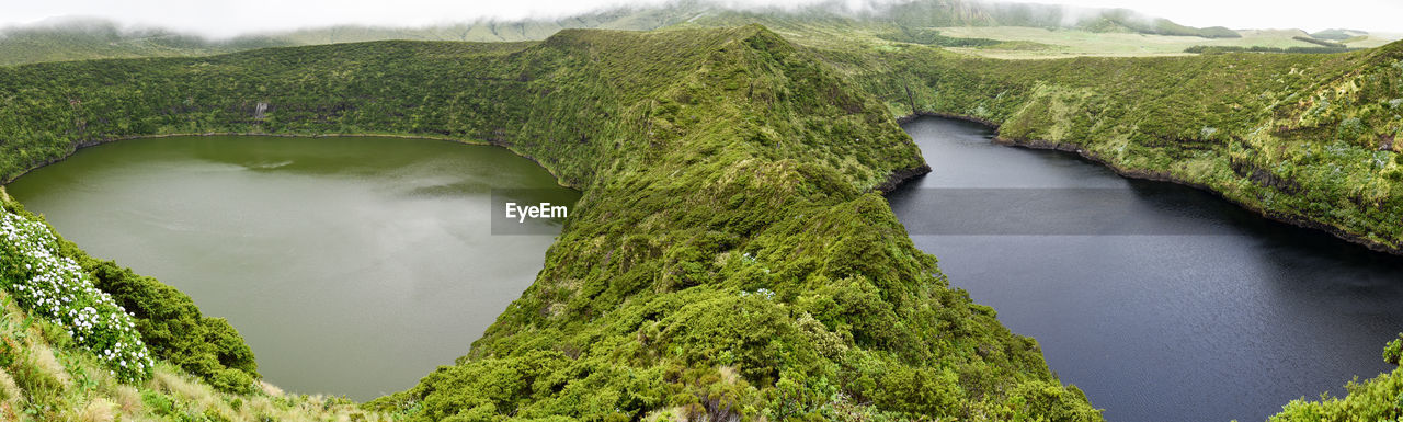 High angle view of river amidst trees