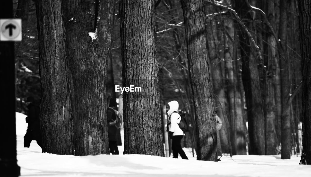 REAR VIEW OF MAN STANDING BY TREE TRUNK