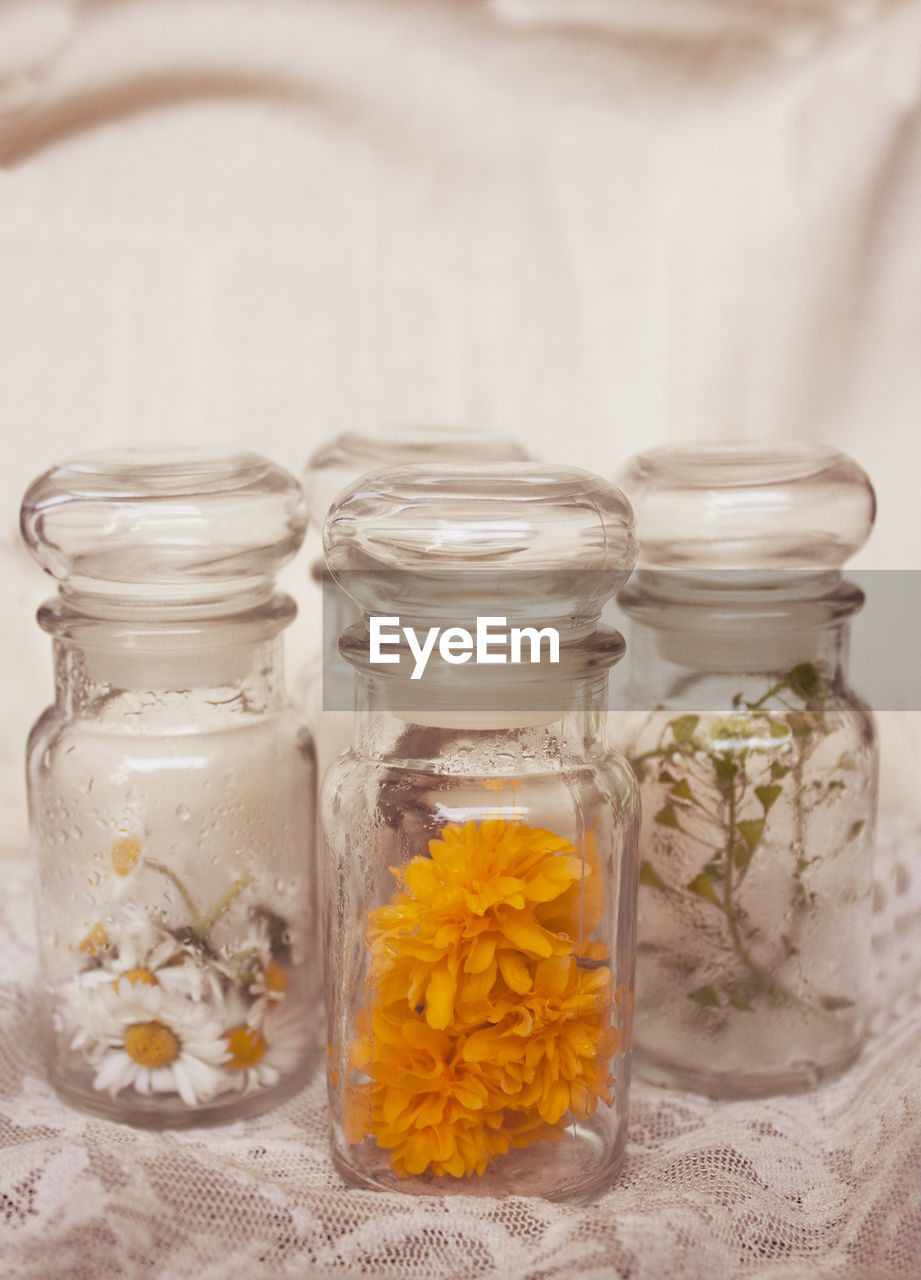 Close-up of white flowers in jar
