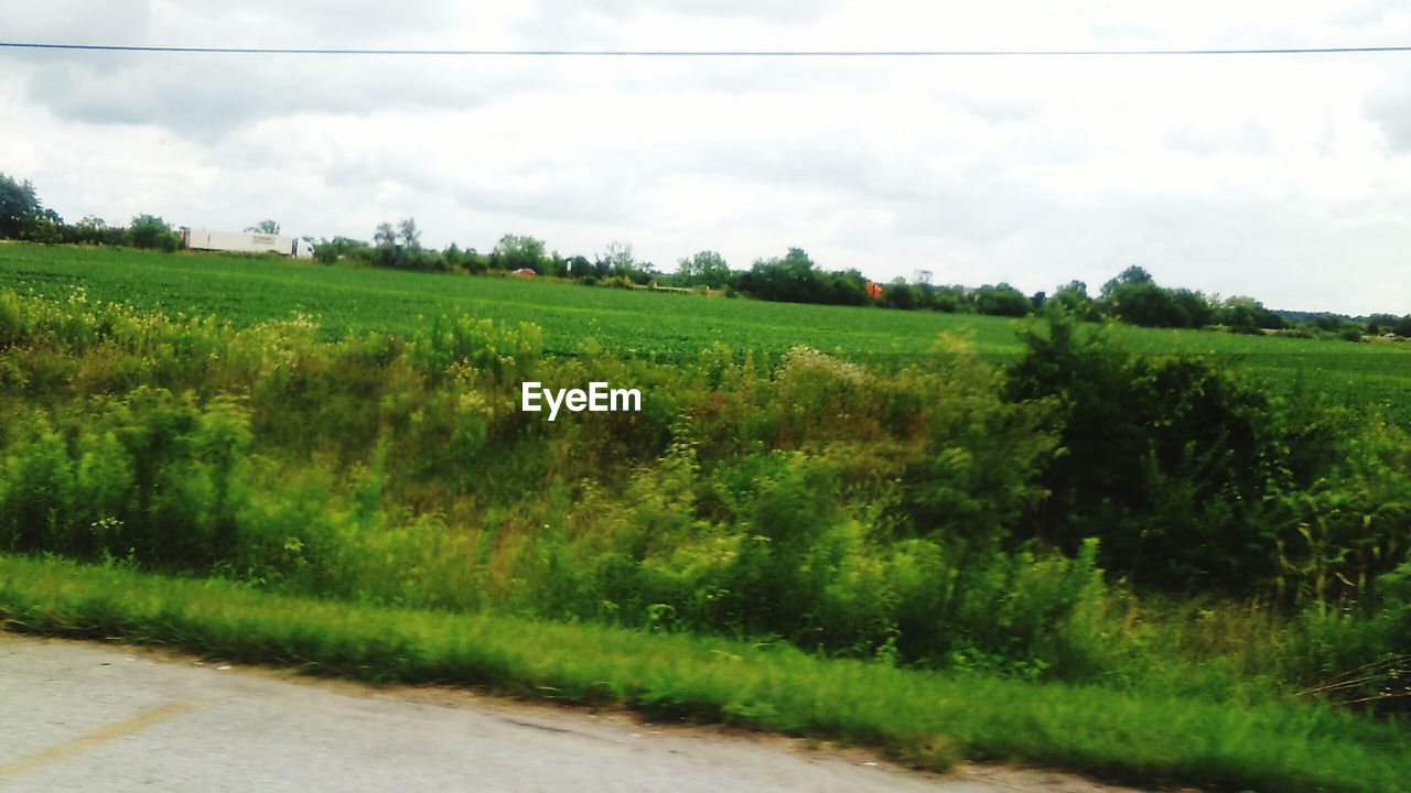 SCENIC VIEW OF GRASSY FIELD AGAINST SKY