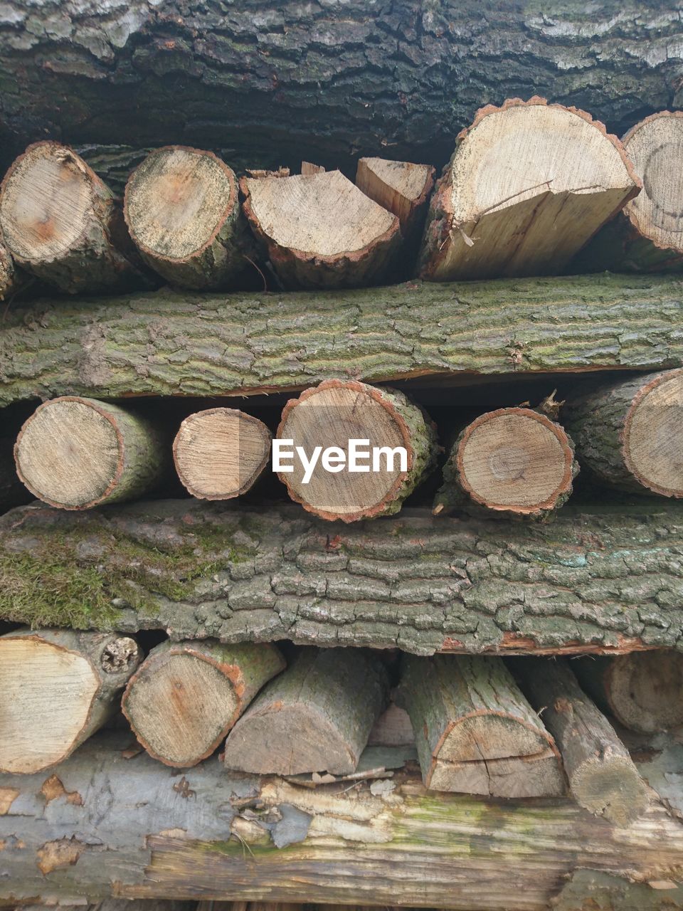 STACK OF LOGS