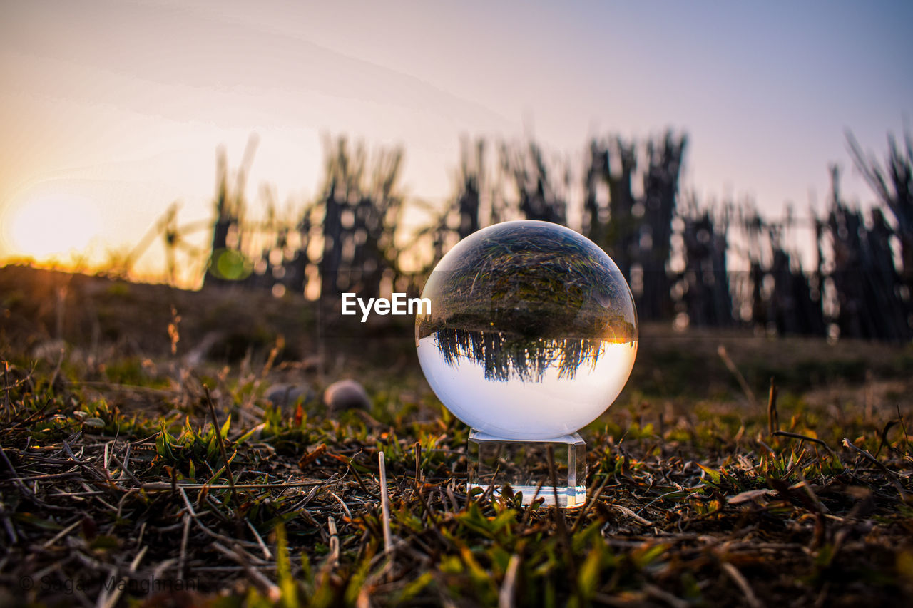 UPSIDE DOWN IMAGE OF CRYSTAL BALL ON FIELD