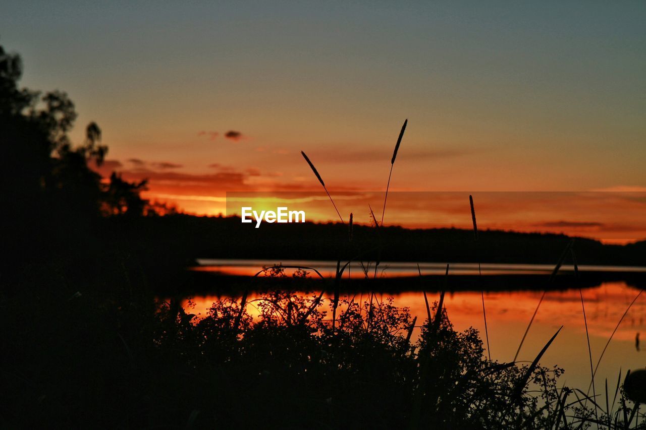 Scenic view of lake by trees against sky