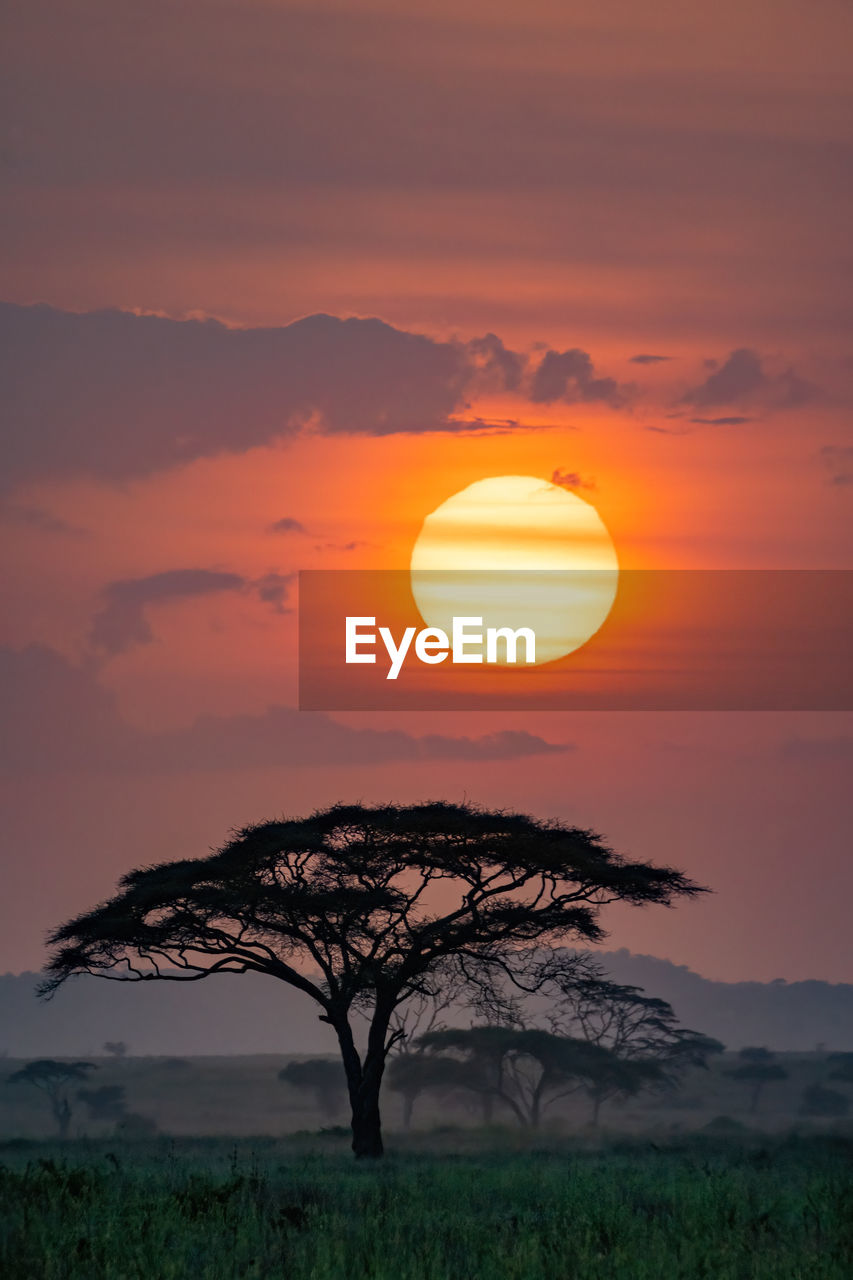 Scenic view of field against romantic sky at sunset