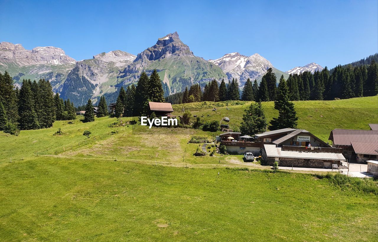 SCENIC VIEW OF FIELD AGAINST MOUNTAINS