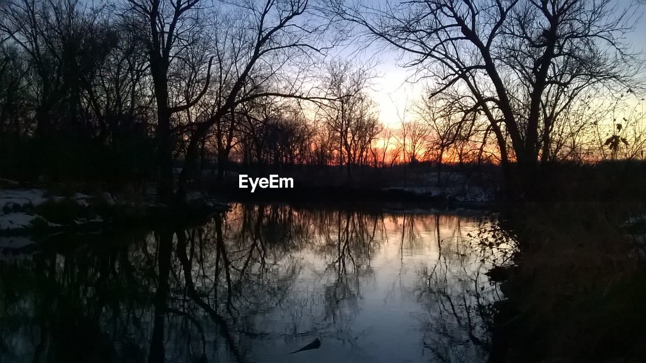 REFLECTION OF TREES IN WATER