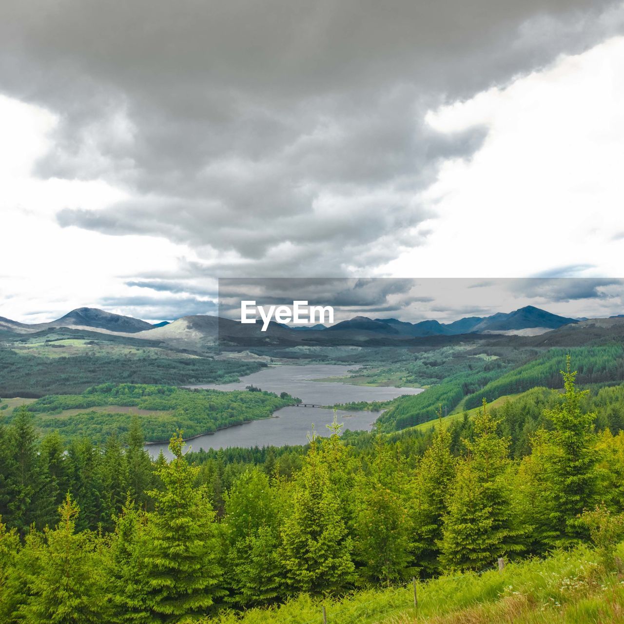 Scenic view of forest and mountains against sky