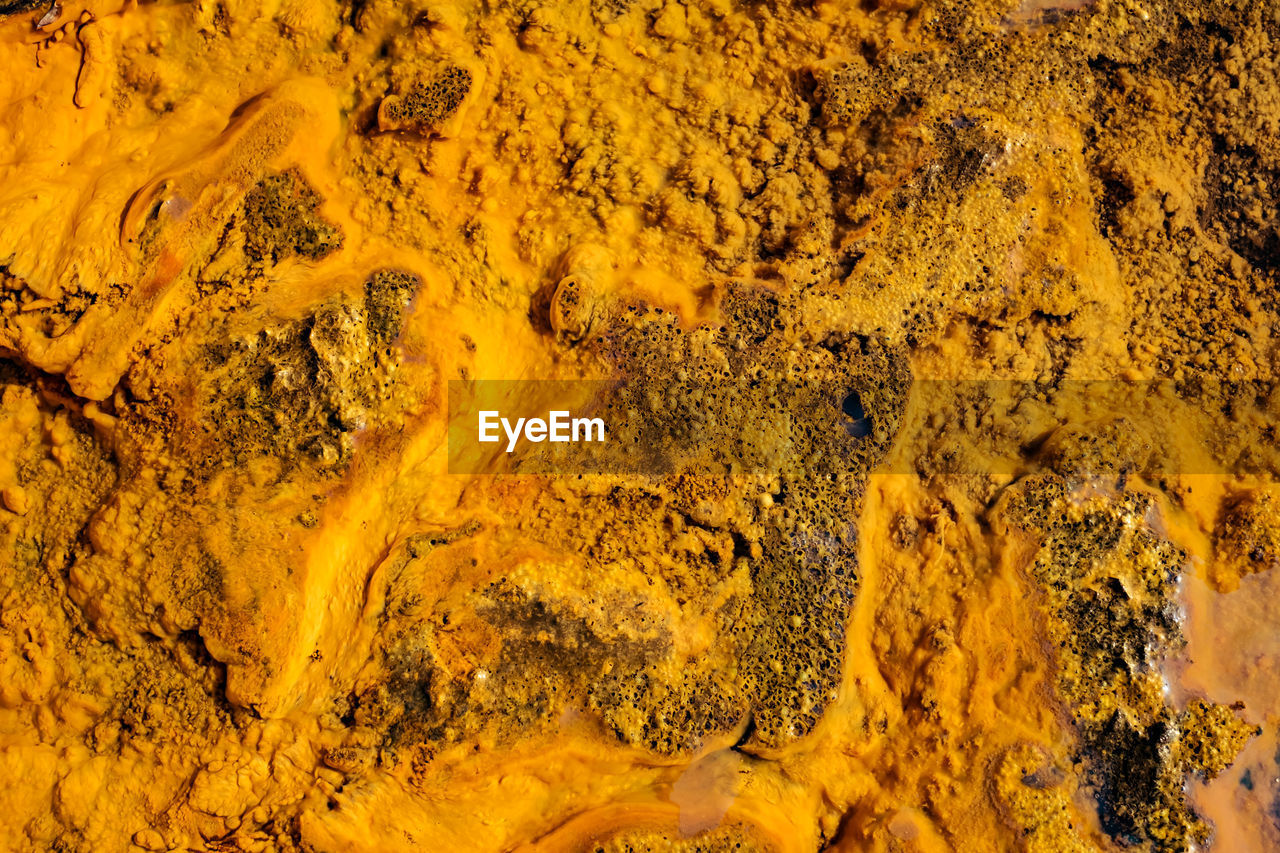 Background with glittering golden alluviums along the river