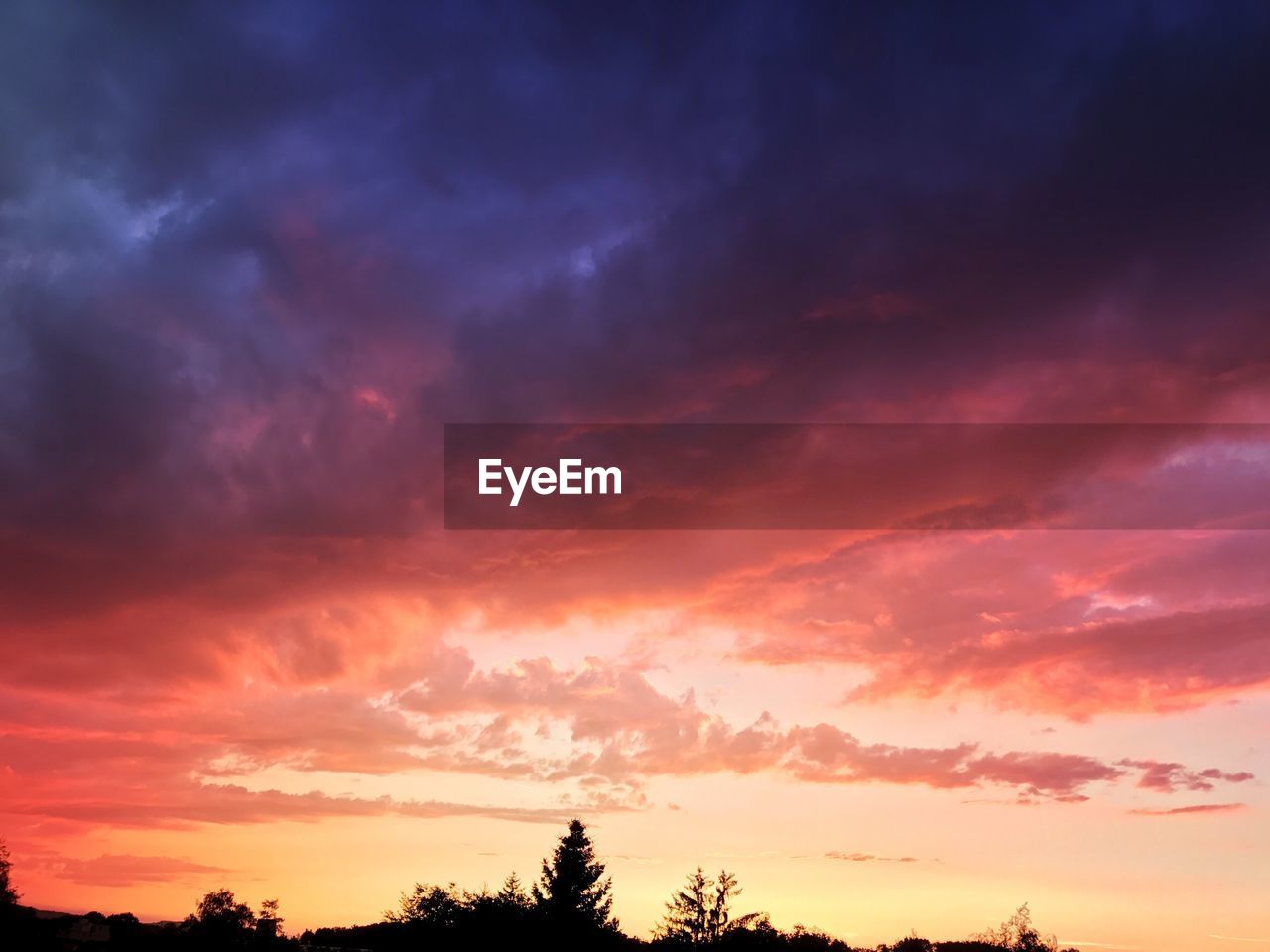 LOW ANGLE VIEW OF DRAMATIC SKY OVER SILHOUETTE TREES