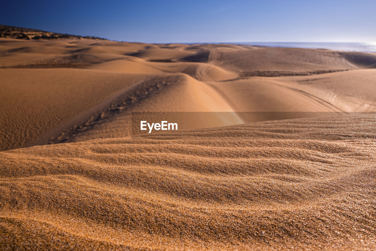 Beautiful sand dunes and dramatic sky at beach during sunset