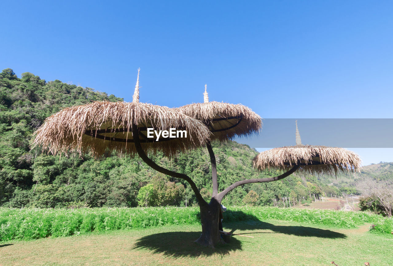 TRADITIONAL WINDMILL AGAINST CLEAR SKY