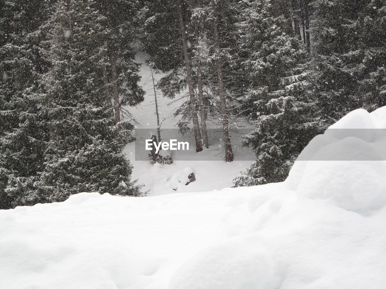 SCENIC VIEW OF SNOW IN WINTER