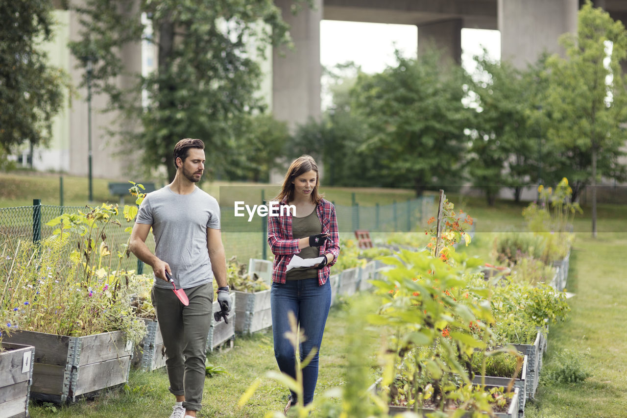 Mid adult couple examining plants at urban garden